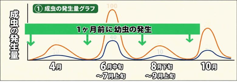 キオビエダシャクの成虫と幼虫の発生時期