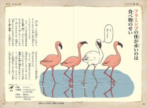 ざんねんないきもの事典