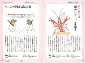 続ざんねんないきもの事典