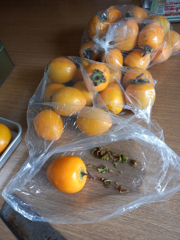 吊るし柿用の渋柿