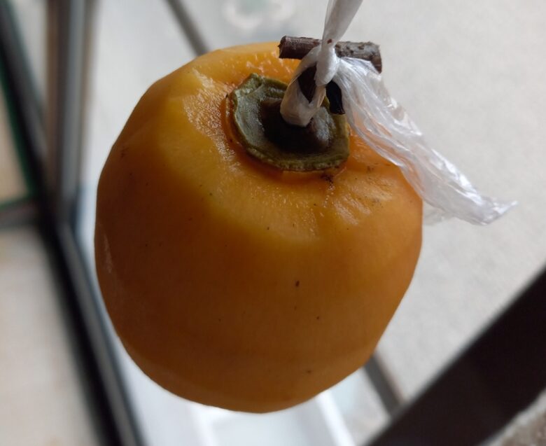 ヘタのきわまで丁寧に皮をむく