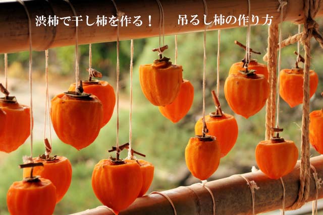 渋柿で干し柿を作る！